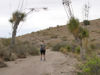 Mara in the Agave